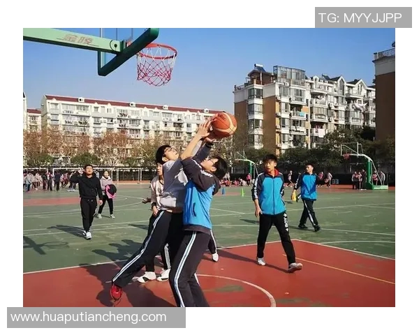 体育锻炼如何促进身体健康提升与疾病预防的全面探讨与分析